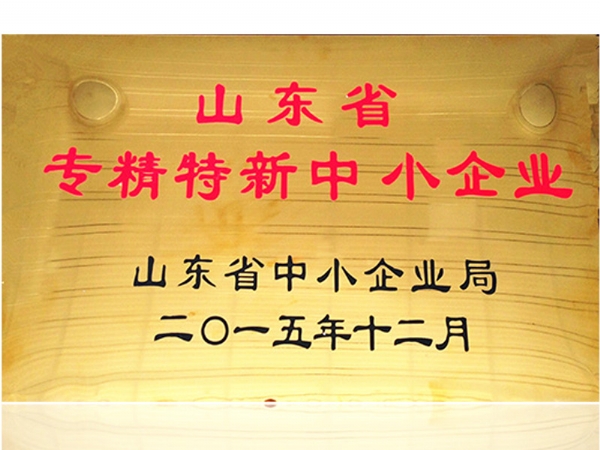 山東省專(zhuān)精特新中小企業(yè)